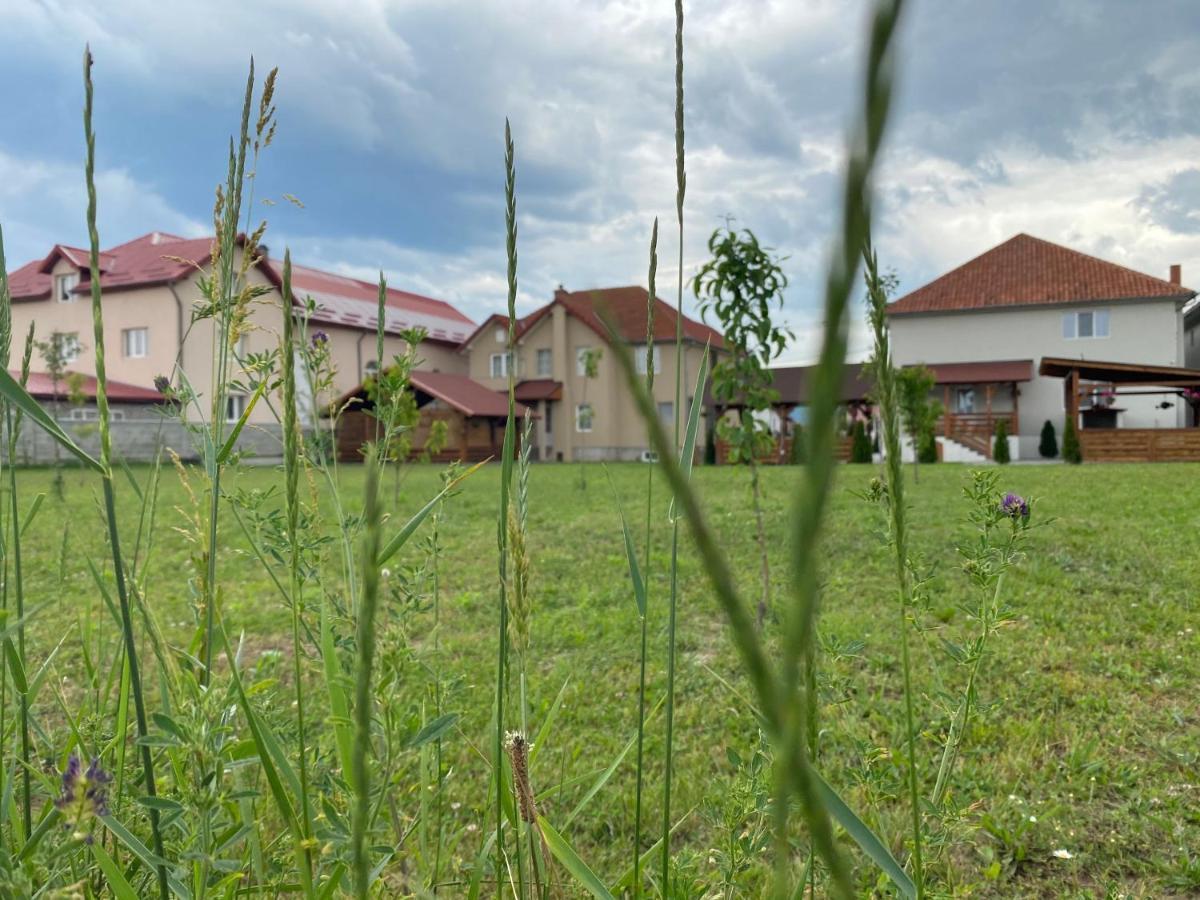 Absolut Residence Haţeg المظهر الخارجي الصورة