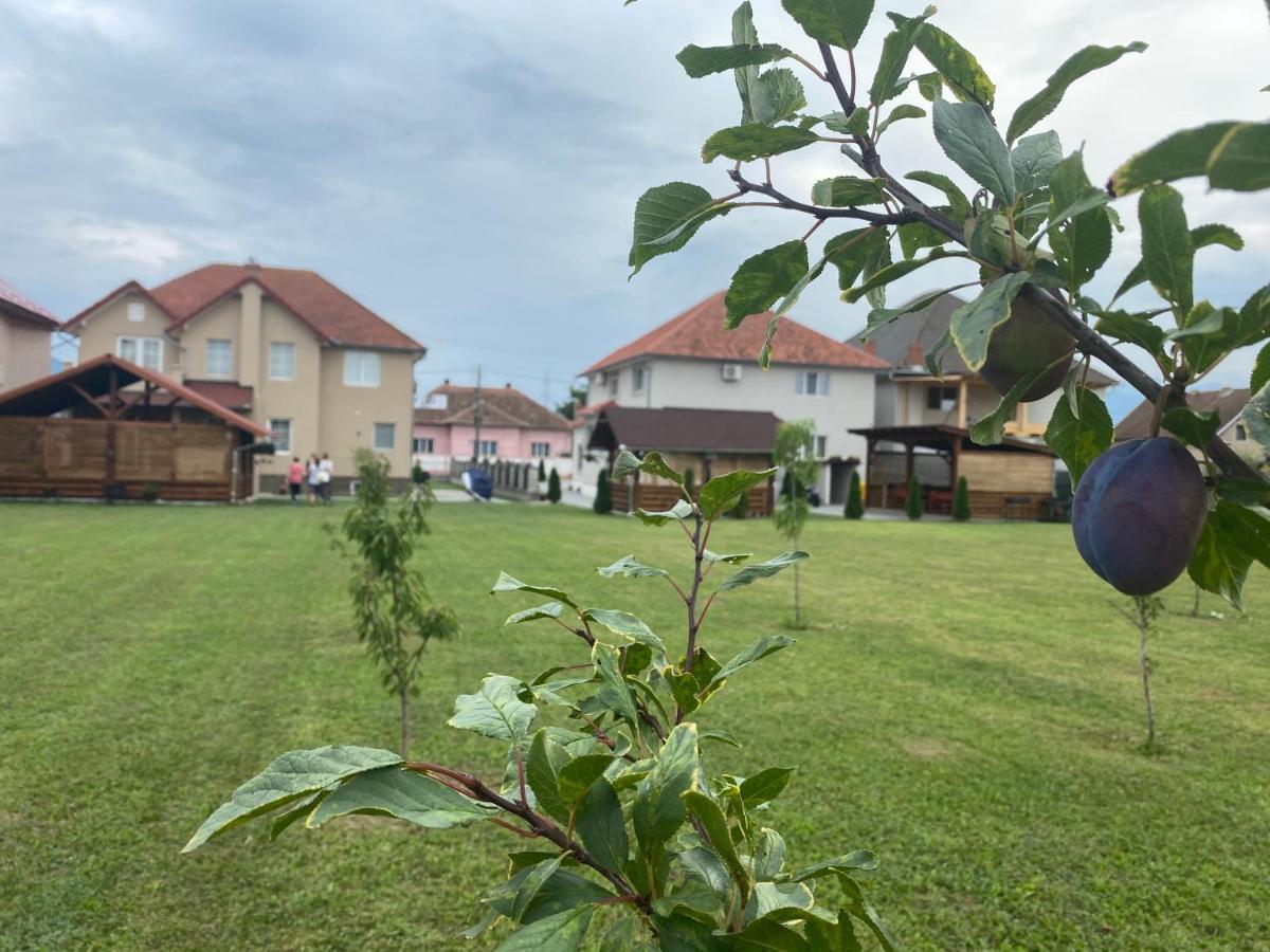 Absolut Residence Haţeg المظهر الخارجي الصورة
