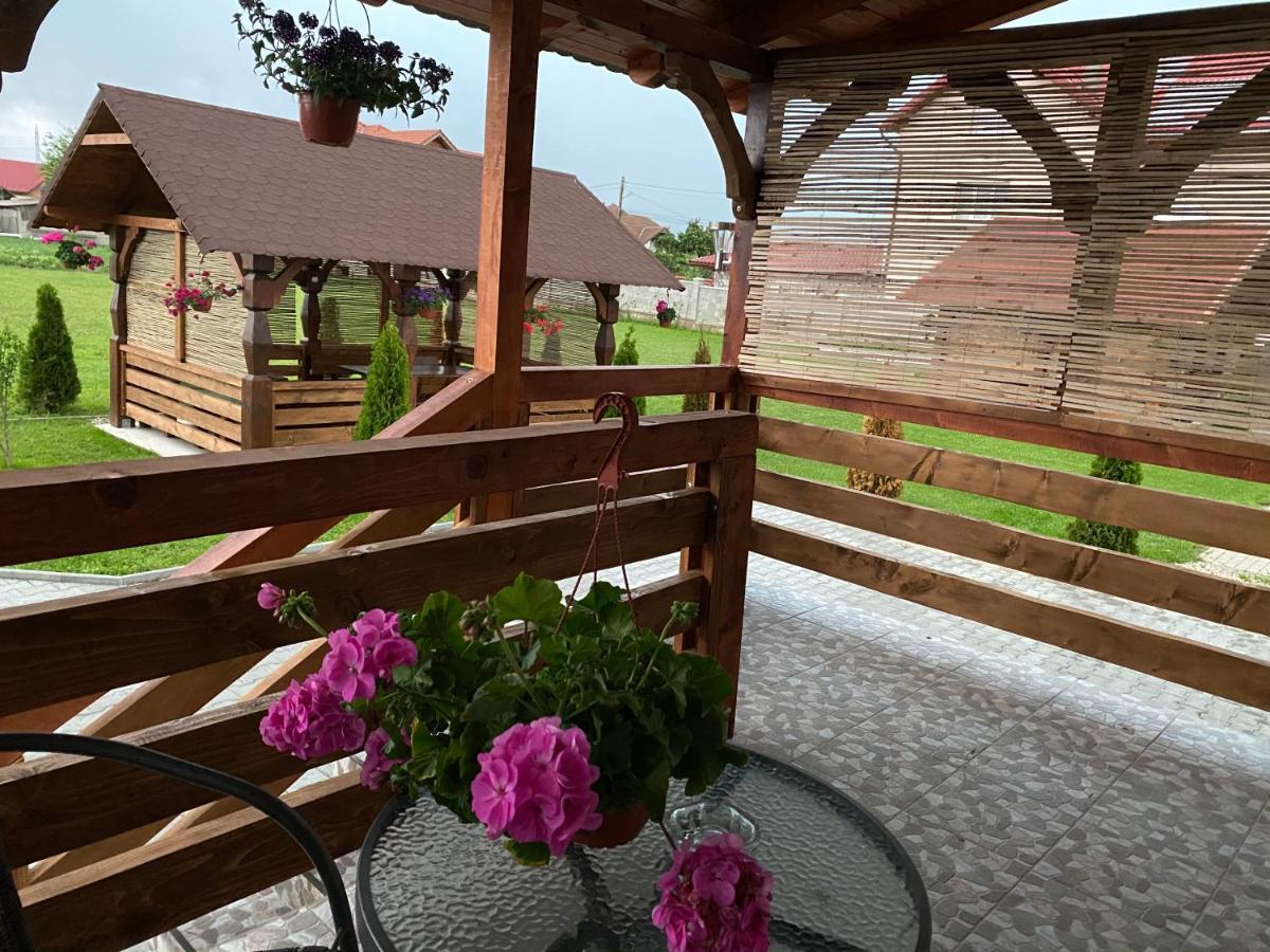 Absolut Residence Haţeg المظهر الخارجي الصورة