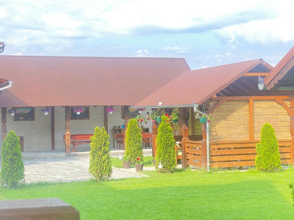 Absolut Residence Haţeg المظهر الخارجي الصورة