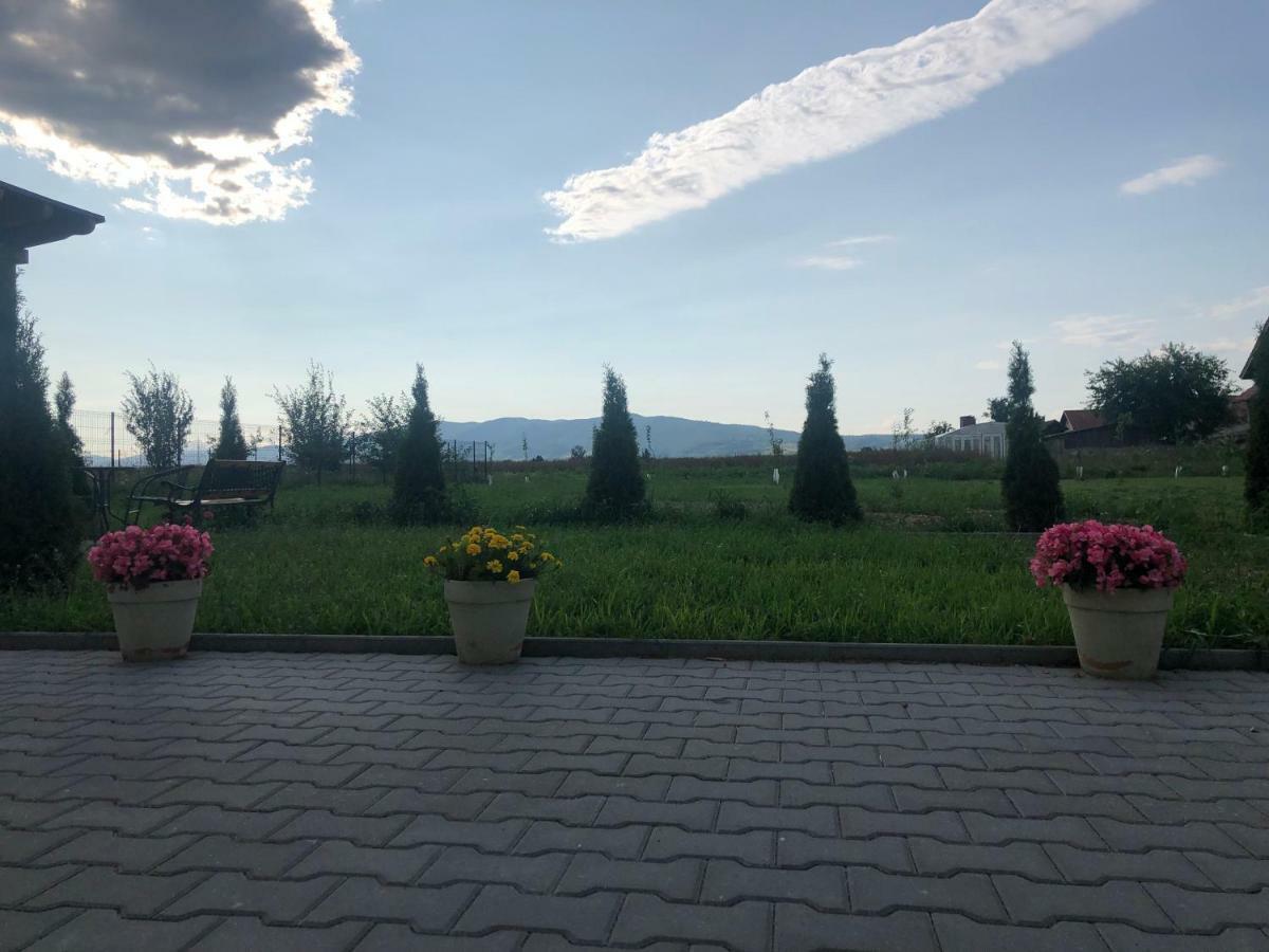 Absolut Residence Haţeg المظهر الخارجي الصورة